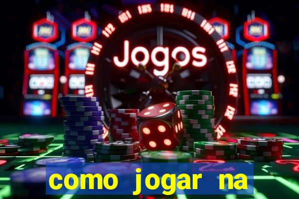 como jogar na teimosinha da lotofacil